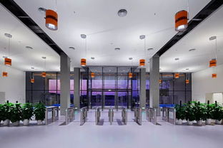 宝鹰精品项目 国际学校装饰典范 荟同学校深圳校区