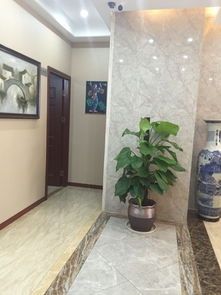 苏锦堂装饰简介 地址